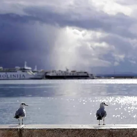 Lägenhet Abyss New Near The With Private Garage *